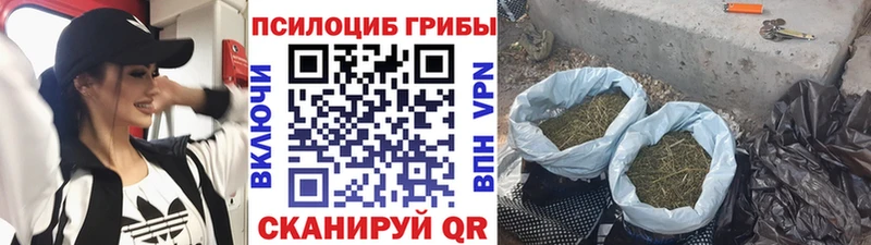 Псилоцибиновые грибы GOLDEN TEACHER  Бердск 