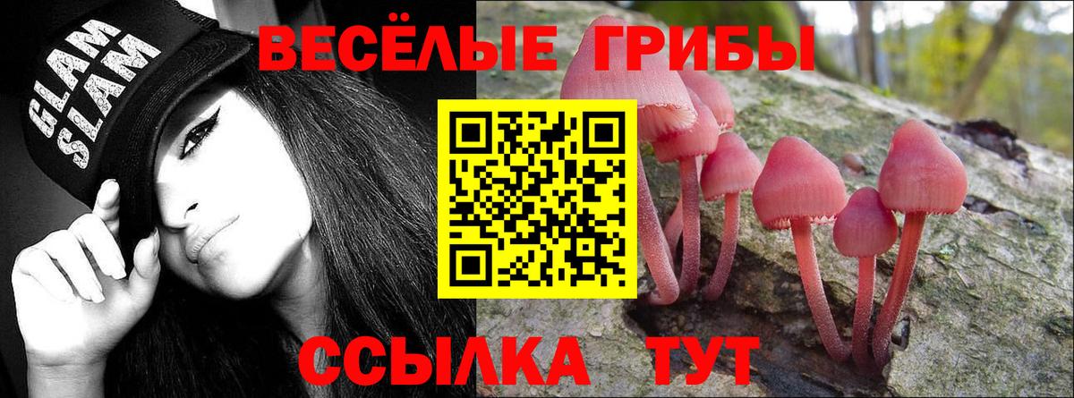 Псилоцибиновые грибы Cubensis Бердск