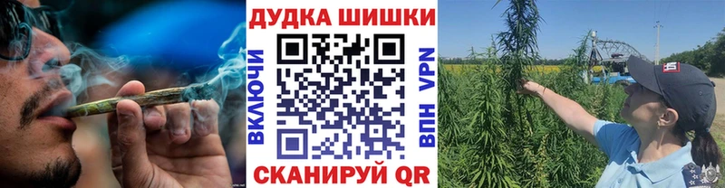 kraken ТОР  Бердск  Каннабис SATIVA & INDICA 